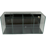 Fighter Betta 4 Bay Aquarium Tank - Amazing Amazon