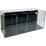 Fighter Betta 4 Bay Aquarium Tank - Amazing Amazon