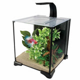 Fluval Betta premium 22.7L glass aquarium kit with betta fish, green plants, sand substrate, LED lamp