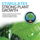 Fluval Betta Stratum 800g - Amazing Amazon