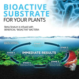 Fluval Betta Stratum 800g - Amazing Amazon