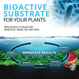 Fluval Betta Stratum 800g - Amazing Amazon