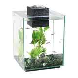 Fluval Chi Aquarium Fish Tank 19 Litre - Amazing Amazon