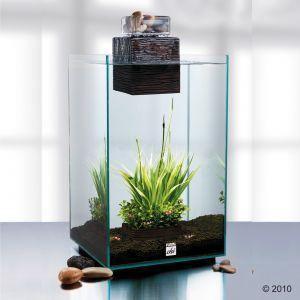 Fluval Chi Aquarium Fish Tank 25 Litre - Amazing Amazon
