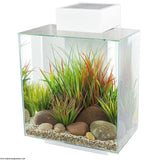 Fluval Edge 2.0 Large 46 Litre White - Amazing Amazon