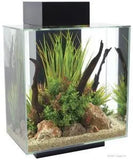 Fluval Edge 2.0 Large Tall Black Aquarium 46l - Amazing Amazon