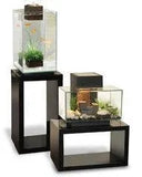 Fluval Edge 2.0 Large Tall Black Aquarium 46l - Amazing Amazon