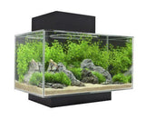 Fluval Edge Aquarium 2.0 Black 23 Litre - Amazing Amazon