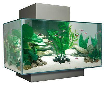 Fluval Edge Aquarium Fish Tank Silver (Pewter) 23L - Amazing Amazon