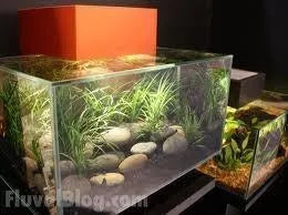 Fluval edge gravel clearance cleaner