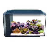 Fluval Evo Marine Aquarium 52 Litre - Amazing Amazon