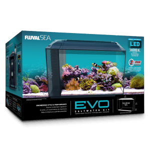 Fluval Evo Marine Aquarium 52 Litre - Amazing Amazon