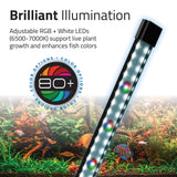 Fluval Flex 2.0 57 Litre Aquarium - Amazing Amazon