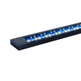 Fluval Flex LED Aquasky Freshwater 3.0 Light 123ltr - Amazing Amazon