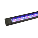 Fluval Flex LED Aquasky Marine 3.0 Light 123ltr - Amazing Amazon