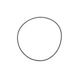 Fluval FX4/FX5/FX6 Giant Filter Lid O-Ring - Amazing Amazon