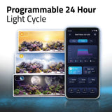 Fluval LED Reef 4.0 Nano Light 25w - Amazing Amazon