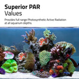 Fluval LED Reef 4.0 Nano Light 25w - Amazing Amazon