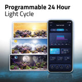 Fluval LED Reef Light 4.0 32w 59-89cm - Amazing Amazon