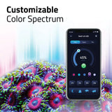 Fluval LED Reef Light 4.0 46w 88-126cm - Amazing Amazon