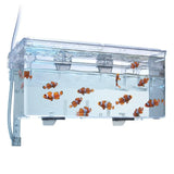 Fluval Multi Chamber Fish Breeding Box - Amazing Amazon