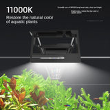 Fluval Plant 4.0 LED Nano 20W - Amazing Amazon