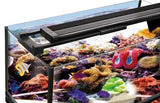 Fluval Sea Marine and Reef LED 3.0 Light 115-145 CM - Amazing Amazon