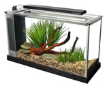 Fluval Spec 5 Aquarium 19L Black (New Model) - Amazing Amazon