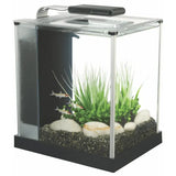 Fluval Spec Aquarium Kit 10L Black - Amazing Amazon