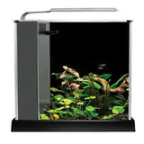 Fluval Spec Aquarium Kit 10L Black - Amazing Amazon