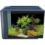 Fluval Spec XV Aquarium 60 Litre Black - Amazing Amazon