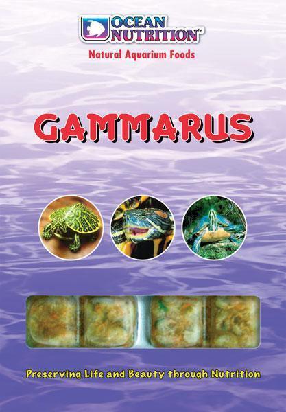 Frozen Freshwater Shrimp (Gammarus) 100g - Amazing Amazon