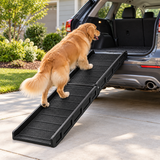 Golden Retriever using a Furkidz dog ramp to enter the back of an SUV