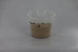 Giant Mealworms (70) - Amazing Amazon