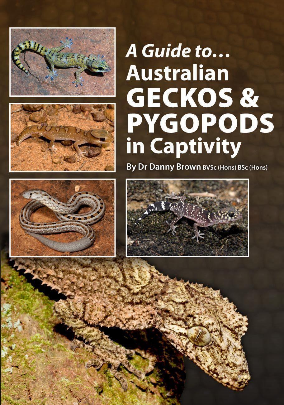 Guide To Australian Geckos In Captivity Book - Amazing Amazon