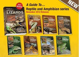 Guide To Australian Geckos In Captivity Book - Amazing Amazon