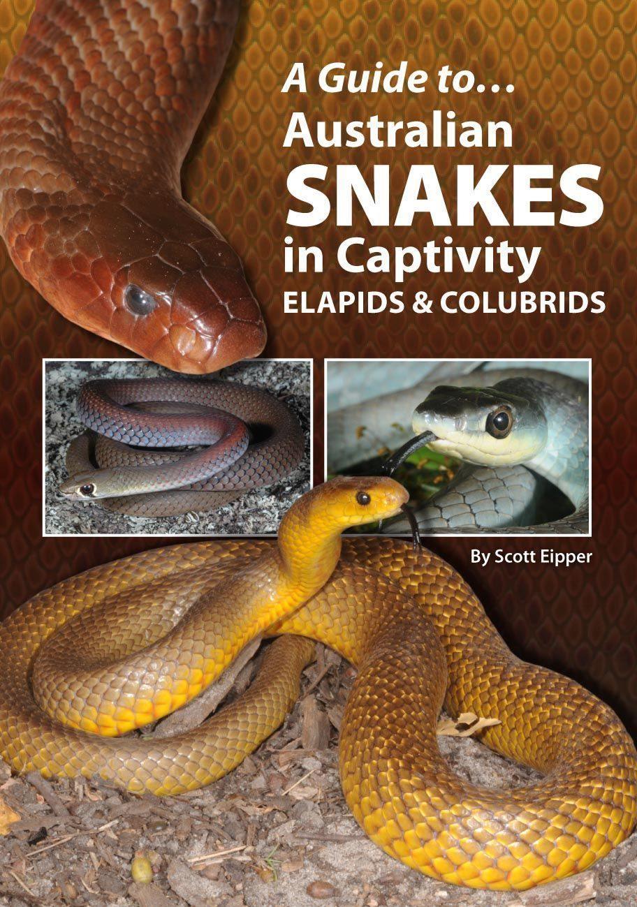Guide To Australian Snakes Elapids and Colubrids Book - Amazing Amazon