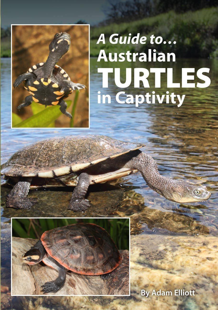 Guide To Australian Turtles in Captivity Book - Amazing Amazon