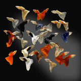 Guppies - Amazing Amazon