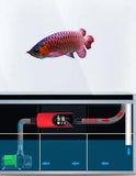 Inline Aquarium Heater Professional 1000w - Amazing Amazon