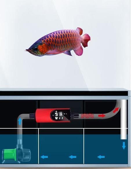 Inline Aquarium Heater Professional 500w - Amazing Amazon