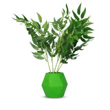 Insectimo Branch Jar - Amazing Amazon