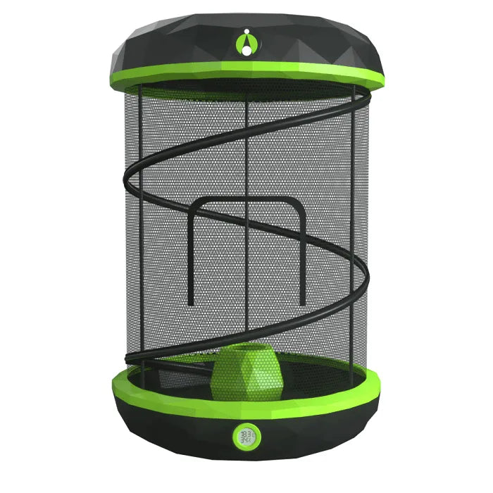 Shop INVERTEBRATES - ENCLOSURES/TANKS - STICK INSECTS at Amazing Amazon