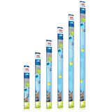 Juwel LED Blue Light Tube - Amazing Amazon