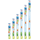 Juwel LED Day Light Tube - Amazing Amazon