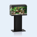 Juwel Primo Line 60 LED Aquarium - Amazing Amazon