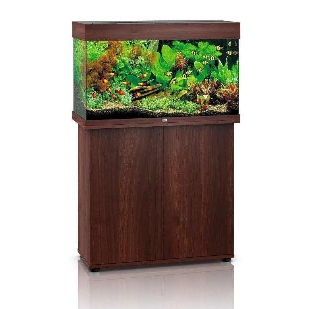 Juwel Rio 125 LED Aquarium and Cabinet Amazing Amazon