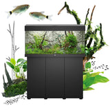 Juwel Rio 290 LED Aquarium and Cabinet - Amazing Amazon