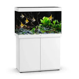 Juwel Rio 290 LED Aquarium and Cabinet - Amazing Amazon