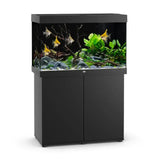 Juwel Rio 290 LED Aquarium and Cabinet - Amazing Amazon